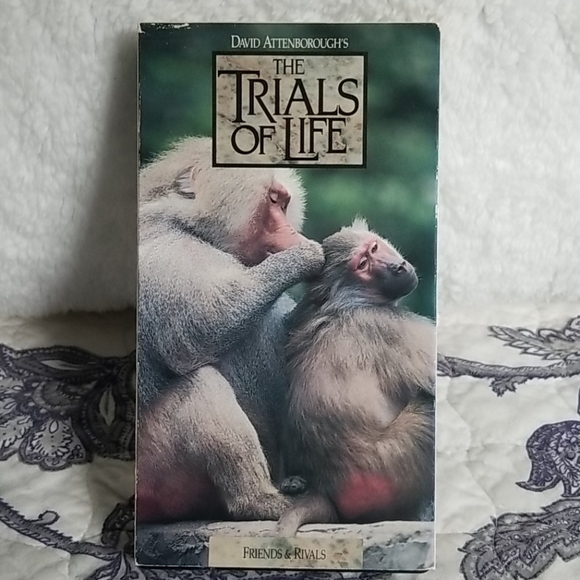 Vintage 1991 David Attenborough's "The Trials of Life" Time Life 12 VHS Box Set - Picture 6 of 15